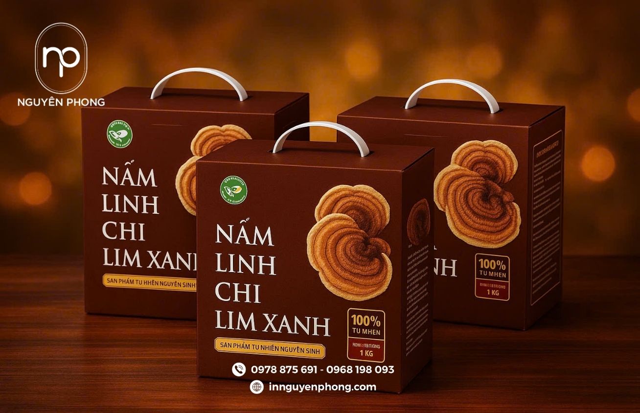 In túi giấy đựng nấm linh chi chuyên nghiệp, nâng tầm giá trị sản phẩm